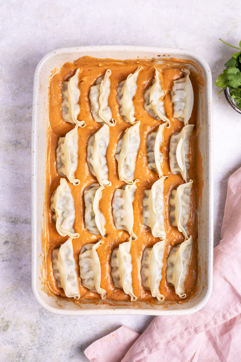Gyoza in Auflaufform vor dem Backen